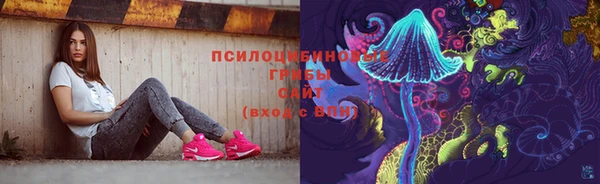 дмт Алексин