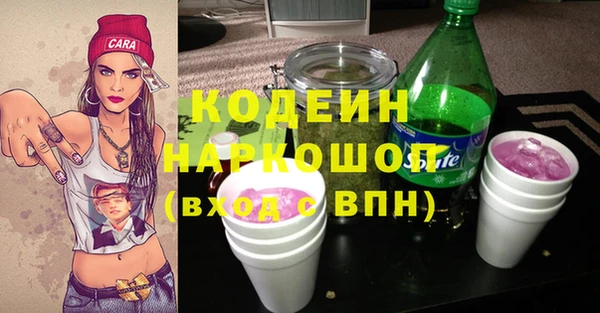 соль ск Алзамай
